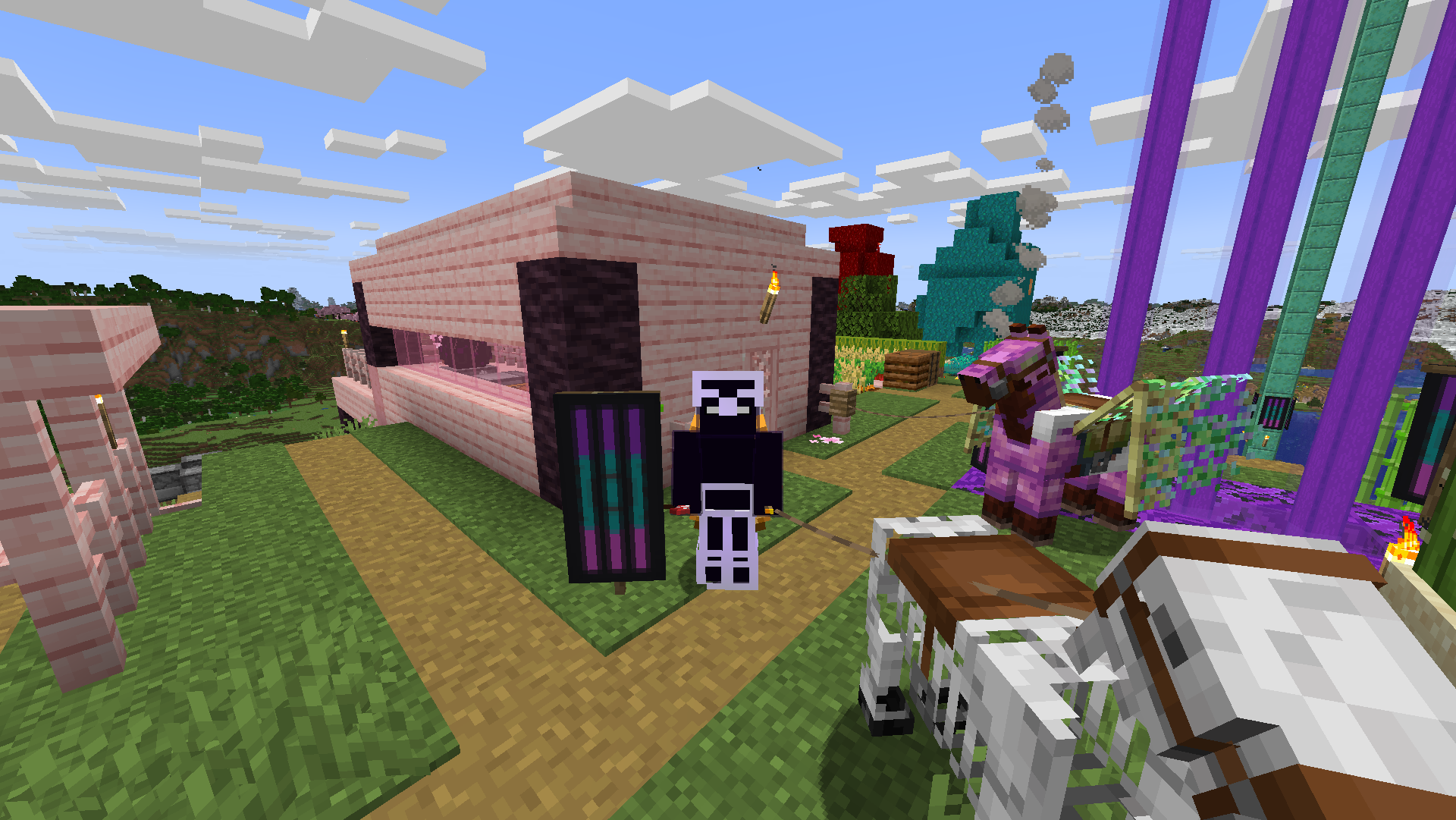 Me standing in front of my pink house with my 2 horses