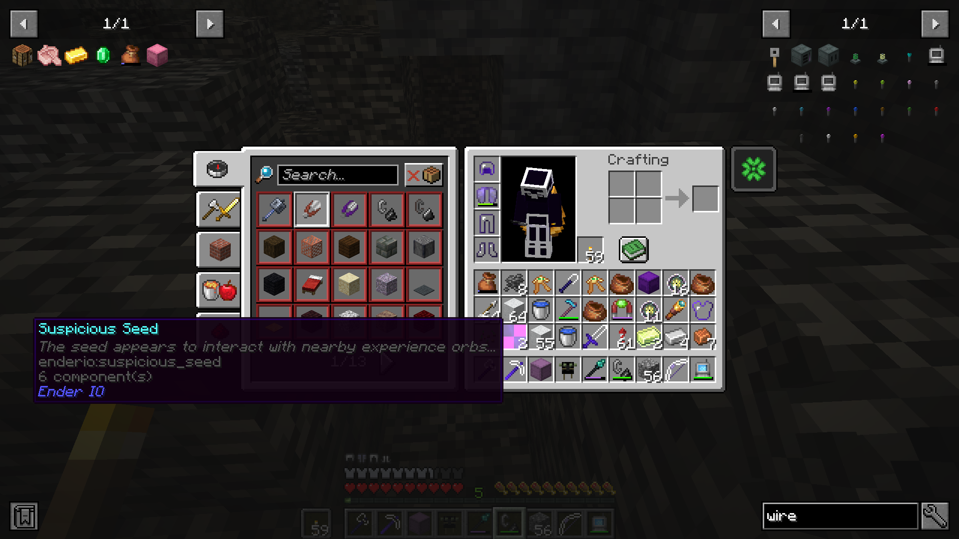My inventory with ''Suspicious seeds'' highlighted. They don't have a texture